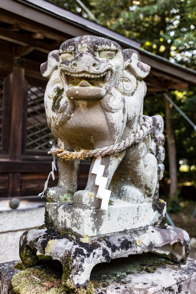 狛犬エアー鉋施工前